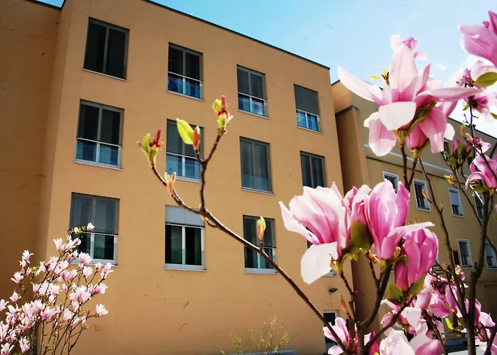 Altstadt Hotel Hofwirt Salzburg